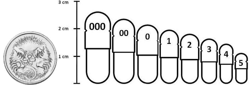 Capsule Sizes Chart — Size 000, 00, 0, 1, 2, 3, 4 | Buy Empty Capsules